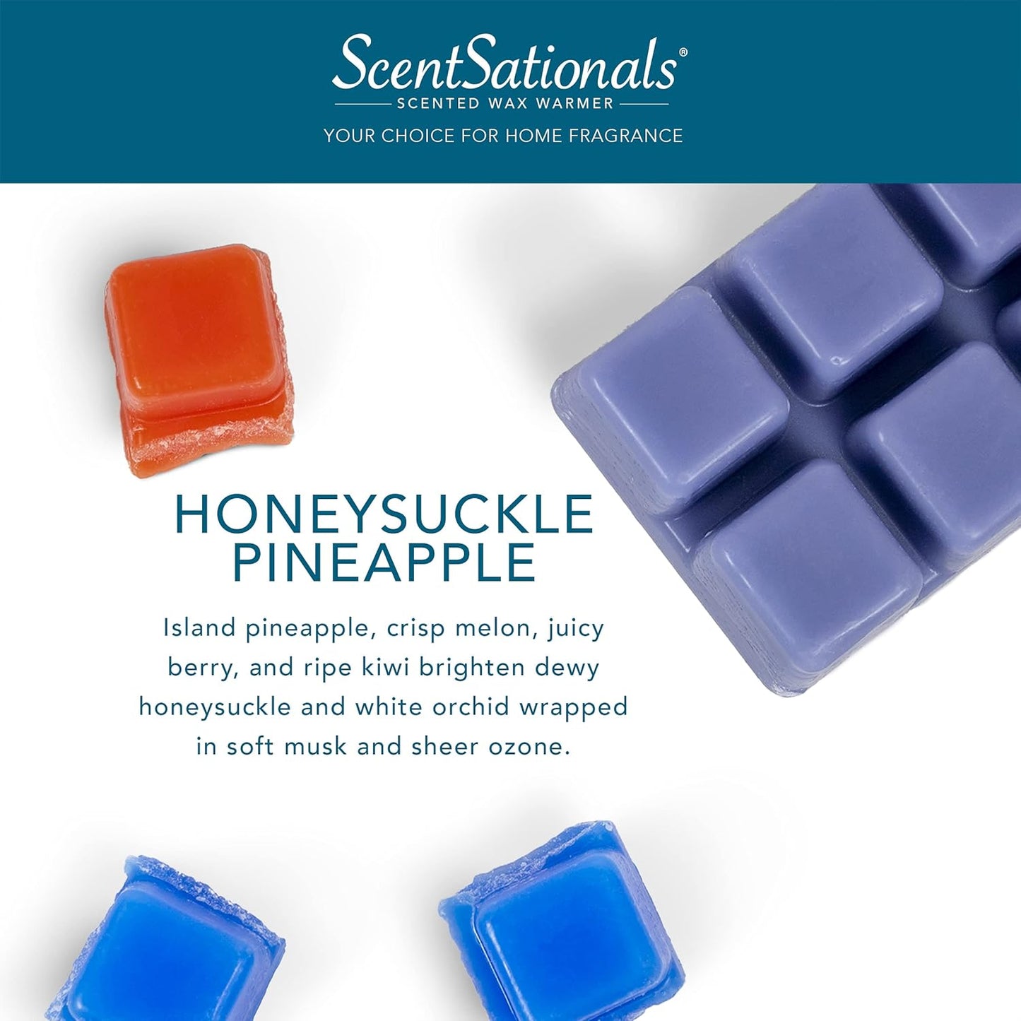 Scentsationals Wax Melts, Wax Cubes Strong Scent - Honeysuckle Pineapple - Long Lasting Scented Melts for Warmer, 10oz (24-Cubes)