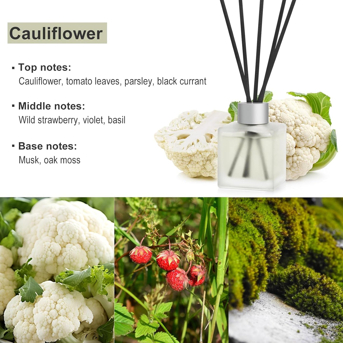 Reed Diffuser, Cauliflower Scented Oils, 3.4 oz Vegetable Aroma Air Freshener with Diffuser Sticks, Long Lasting Essential Oil Home Fragrance for Office Room Bathroom Decor (1 Pack)