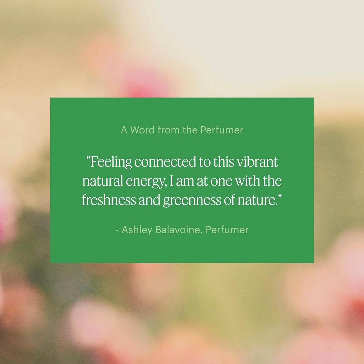 Aera Mini Bamboo Jardin - Essential Oil for Home - Garden Fragrance - Notes of Lush Greens and Citrus - Scent Refill - Capsule Size Works with Mini Diffuser