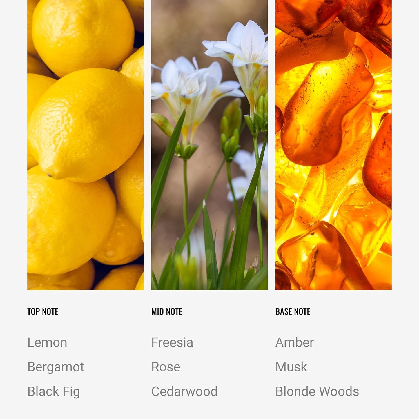 Black Velvet Reed Diffuser Set, Luxury Hotel Inspired Home Diffuser with Hints of Zesty Citrus, Juicy Black Fig, and Floral Rose, Lasting 4 Month Longevity, 100mL