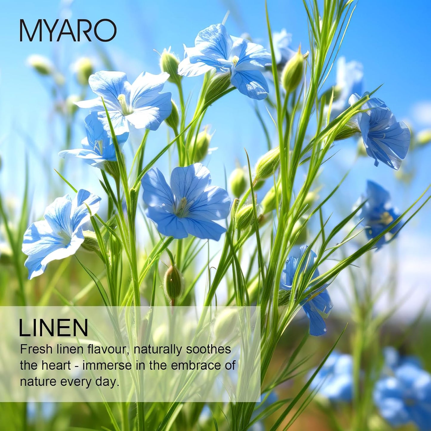 MYARO Large 12 Pcs Linen Scented Sachets for Drawer and Closet, Long-Lasting Sachets Bags Air Freshener Fresh Scents, Hanging Potpourri Bags Home Fragrance for Lover