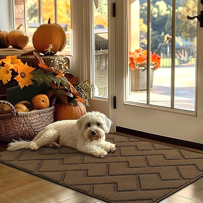 hicorfe Indoor Door Mat,Non Slip Door Mats,32"x48" Front Back Door Mat Rubber Backing,Absorbent Resist Dirt Entrance Inside Floor Mats for Entryway Washable Low-Profile(Dark Brown)
