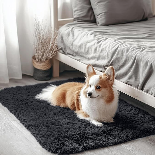 OLANLY 2x3 Machine Washable Small Bedside Rug, Soft Fluffy Shaggy Entryway Throw Rugs for Bedroom, Living Room, Indoor Floor Carpet for Kids Girls and Boys, Nursery Rooms, Home Decor Aesthetic, Black