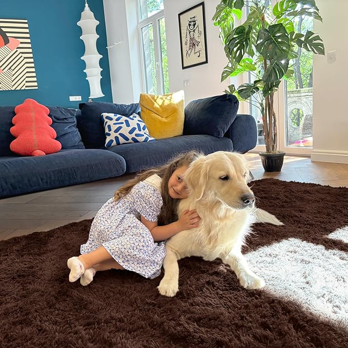 OLANLY 3x5 Machine Washable Small Bedside Rug, Soft Fluffy Shaggy Rugs for Living Room, Bedroom, Indoor Floor Carpet for Kids Girls and Boys, Preppy Dorms, Nursery, Home Decor Aesthetic, Coffee