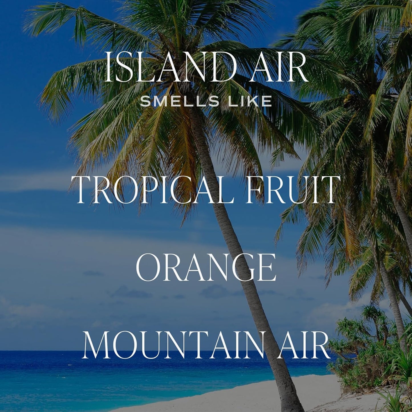 Sweet Water Decor Island Air Reed Diffuser – Room Decor Aesthetic with Long-Lasting Premium Fragrance of Tropical Fruits, Sugared Oranges, Lemons, Limes for 4 Months – Ideal for Home Decor