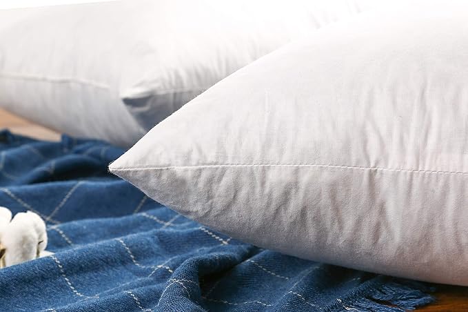 JA COMFORTS 16×16 Premium Goose Down Feather Throw Pillow Inserts(Set of 2)-5% Down Filling,High Filling Weight,250 TC Cotton Cover, Square, White