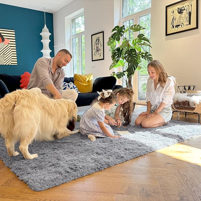 OLANLY Area Rugs for Living Room Bedroom, Machine Washable 4x5.9 ft Soft Fluffy Shaggy Bedside Rug, Indoor Floor Carpet for Kids Girls and Boys, Dorms, Nursery Rooms, Home Decor Aesthetic, Light Grey