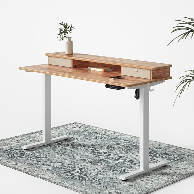 FEZIBO 48 x 24 Inch Whole-Piece Height Adjustable Standing Desk with Double Drawers, Sit Stand Desk, Stand Up Table (Send Two Packages), Light Rustic Top