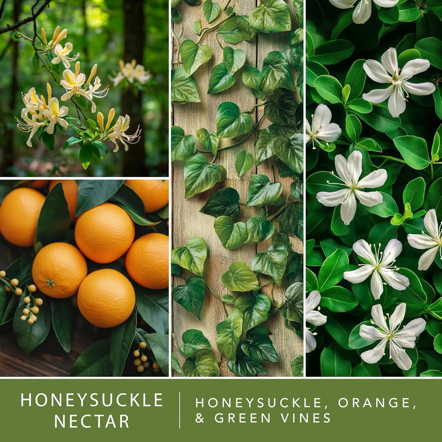 Scentsationals Wax Melts, Wax Cubes Strong Scent - Honeysuckle Nectar - Long Lasting Scented Melts for Warmer, 10oz (24-Cubes)