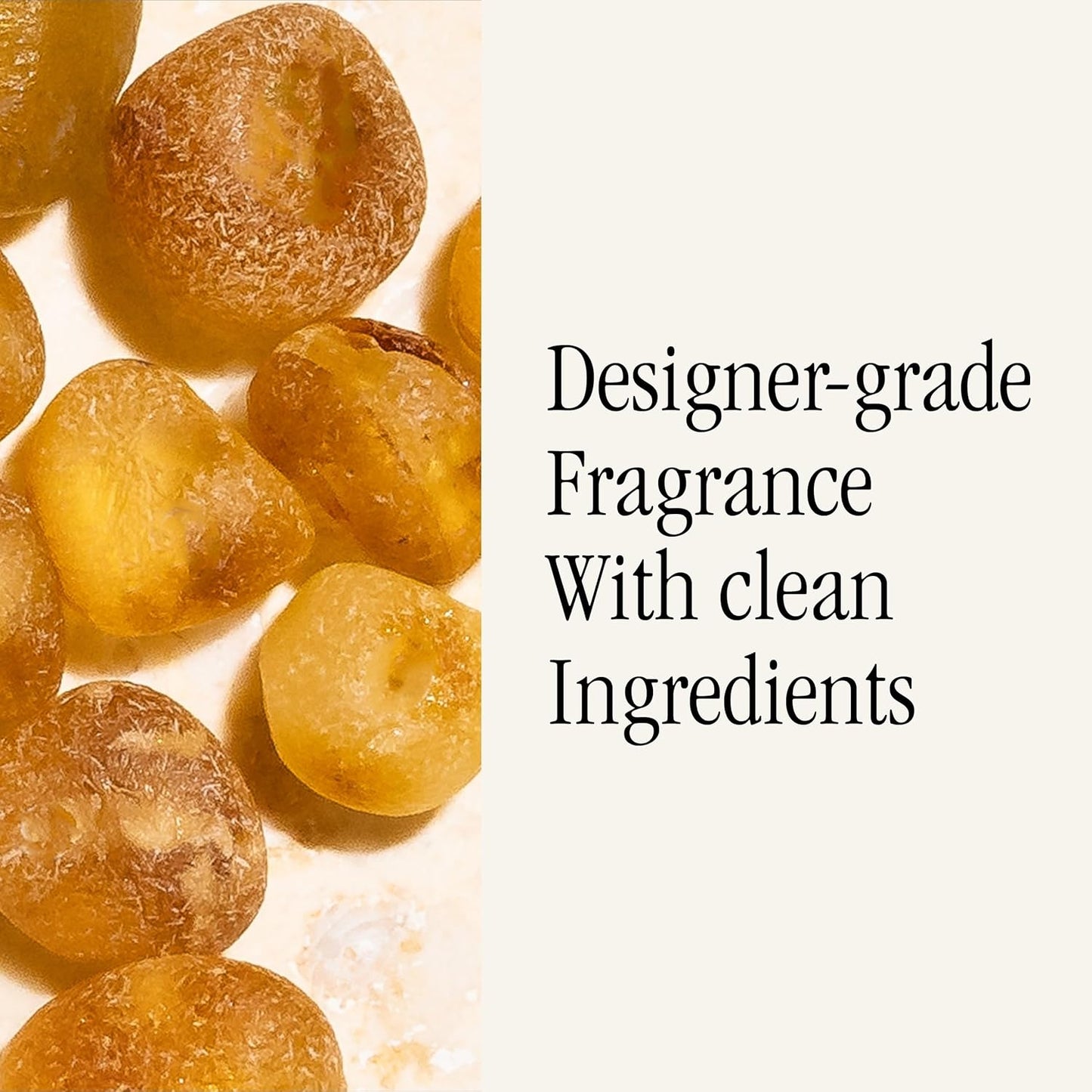 PuraHome Scent Refill - Smart Home Air Diffuser - Up to 120-Hours of Luxury Fragrance per Refill - Home Essential - Clean & Safe Diffuser Fragrance - 2 Pack, White Tea No. 1