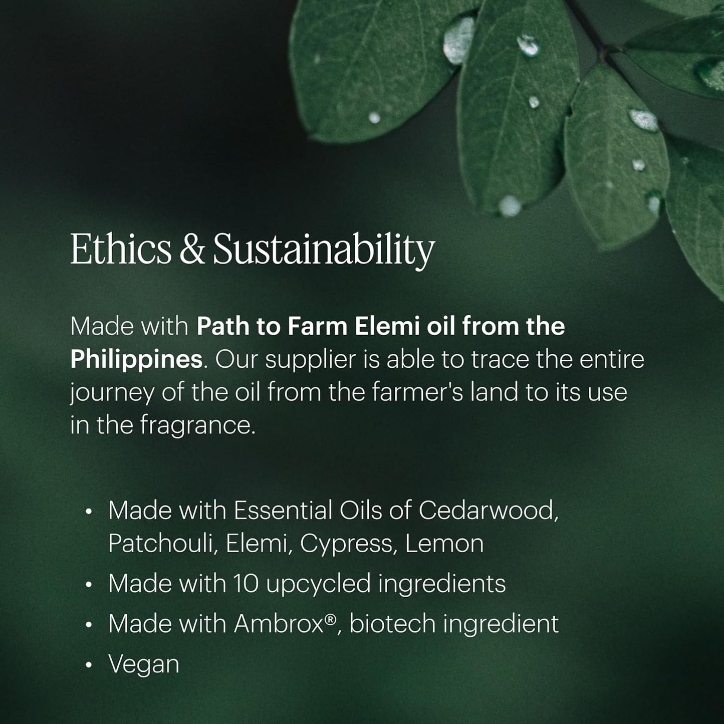 Aera Mini Poetry - Essential Oil for Home – Smooth Suede and Violet Fragrance - Notes of Vetiver, Eucalyptus and Woods - Scent Refill - Capsule Size Works with Mini Diffuser