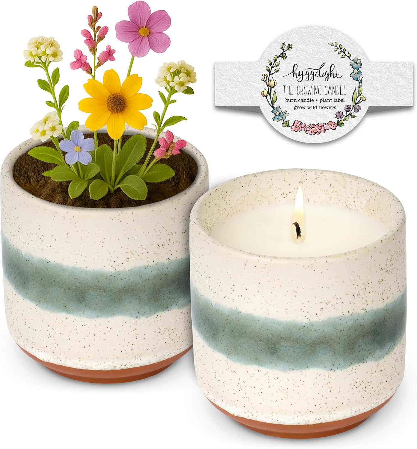 The Growing Candle, Chai Scented, 8.5oz Ceramic Pot, Aromatherapy Candles for Home, 100% Soy, Edith