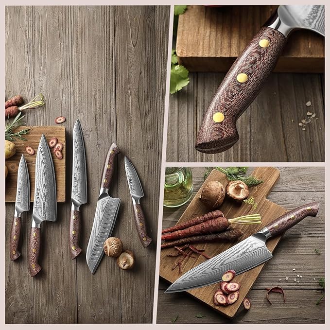 HEZHEN Damascus Chef Knife Set, 67 Layers Damascus Steel, 5PCS, Ultra Sharp, Professional Kitchen Knife Set for Chefs and Home Cooking, Ergonomic Micarta Handle, Gift Packing