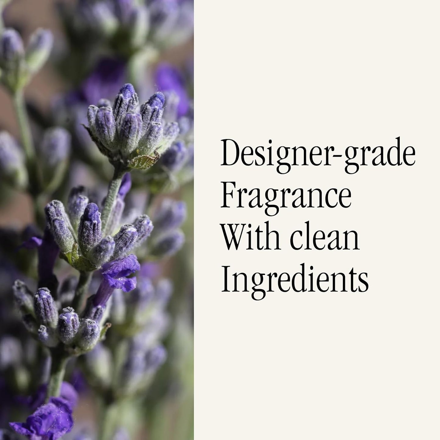 PuraHome Scent Refill - Smart Home Air Diffuser - Up to 120-Hours of Luxury Fragrance per Refill - Home Essential - Clean & Safe Diffuser Fragrance - 2 Pack, Simply Lavender