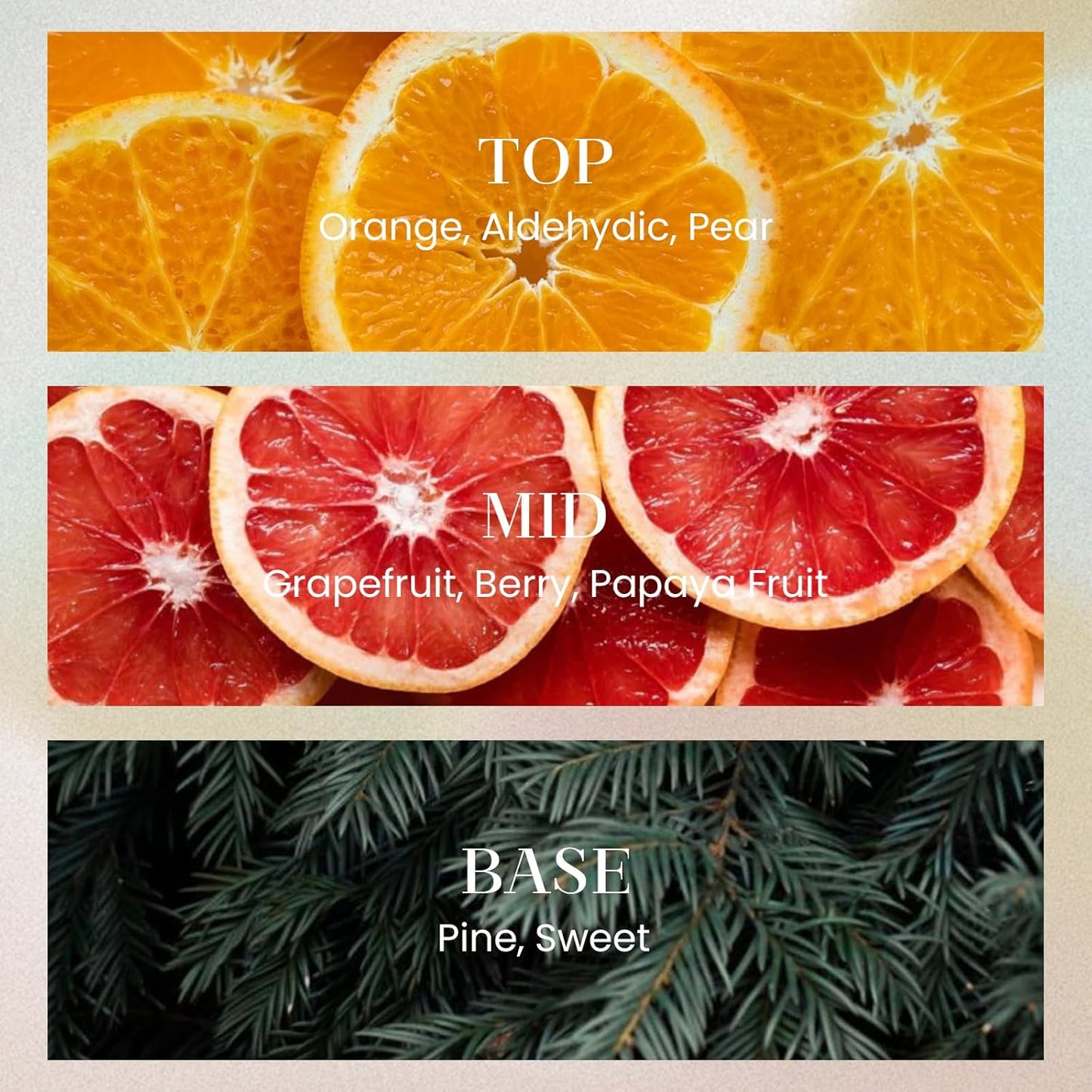 M&SENSE 6.3 oz Large Reed Diffuser Set | Orange Goji Scent Oil Diffuser with Sticks | Hotel Collection Non-Toxic Essential Oil |for Bedroom Bathroom Living Room