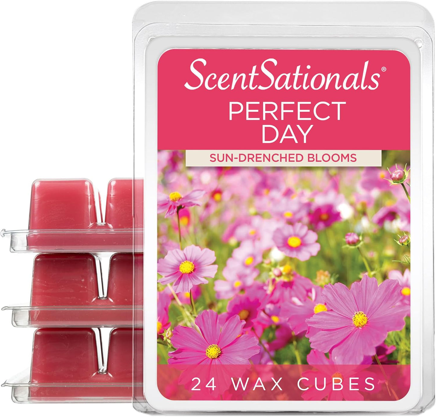 Scentsationals Wax Melts, Wax Cubes Strong Scent - Perfect Day - Long Lasting Scented Wax Melts for Warmer, 10oz (24-Cubes)