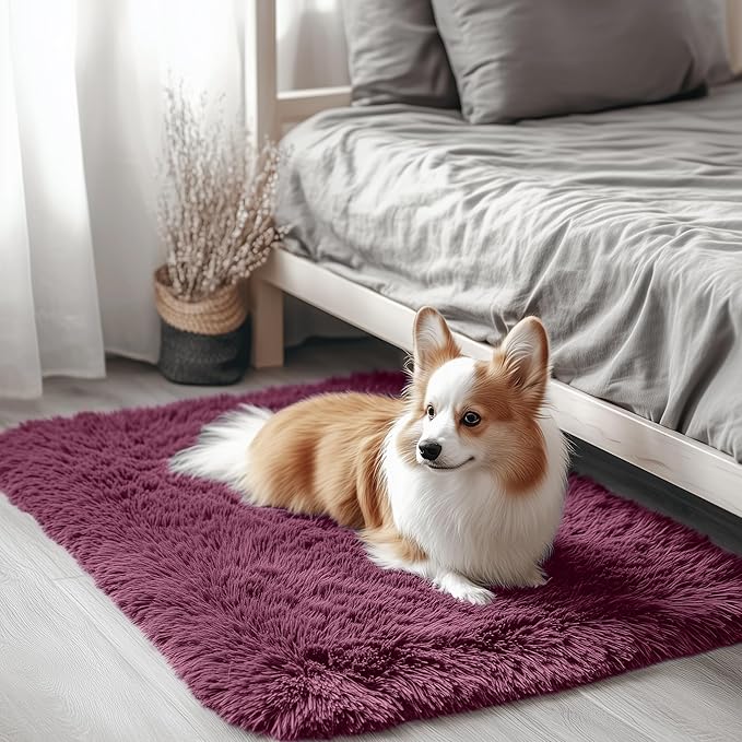 OLANLY 2x3 Machine Washable Small Bedside Rug, Soft Fluffy Shaggy Entryway Throw Rugs for Bedroom, Living Room, Indoor Floor Carpet for Kids Girls Boys, Nursery Rooms, Home Decor Aesthetic, Burgundy