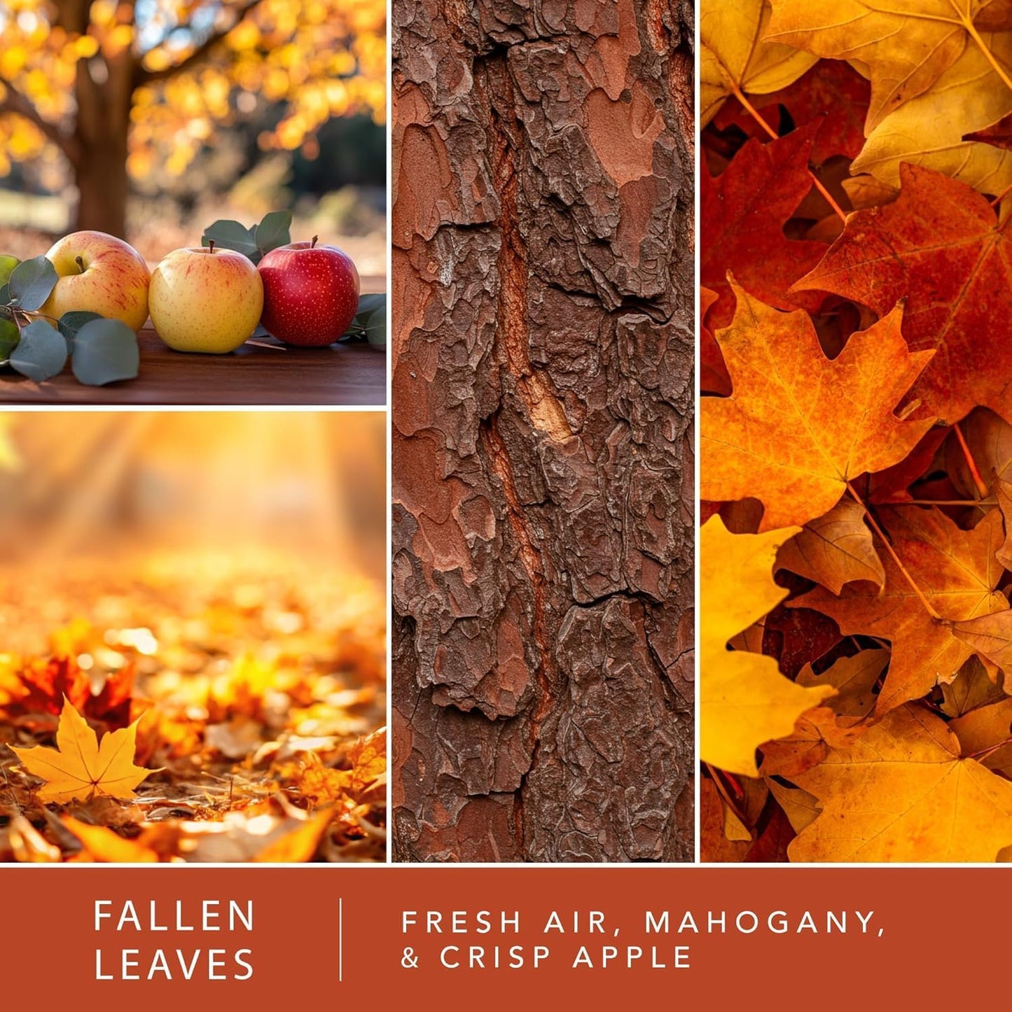 Scentsationals Fall Wax Melts, Wax Cubes Strong Scent - Fallen Leaves - Long Lasting Scented Melts for Warmer, 10oz (24-Cubes)