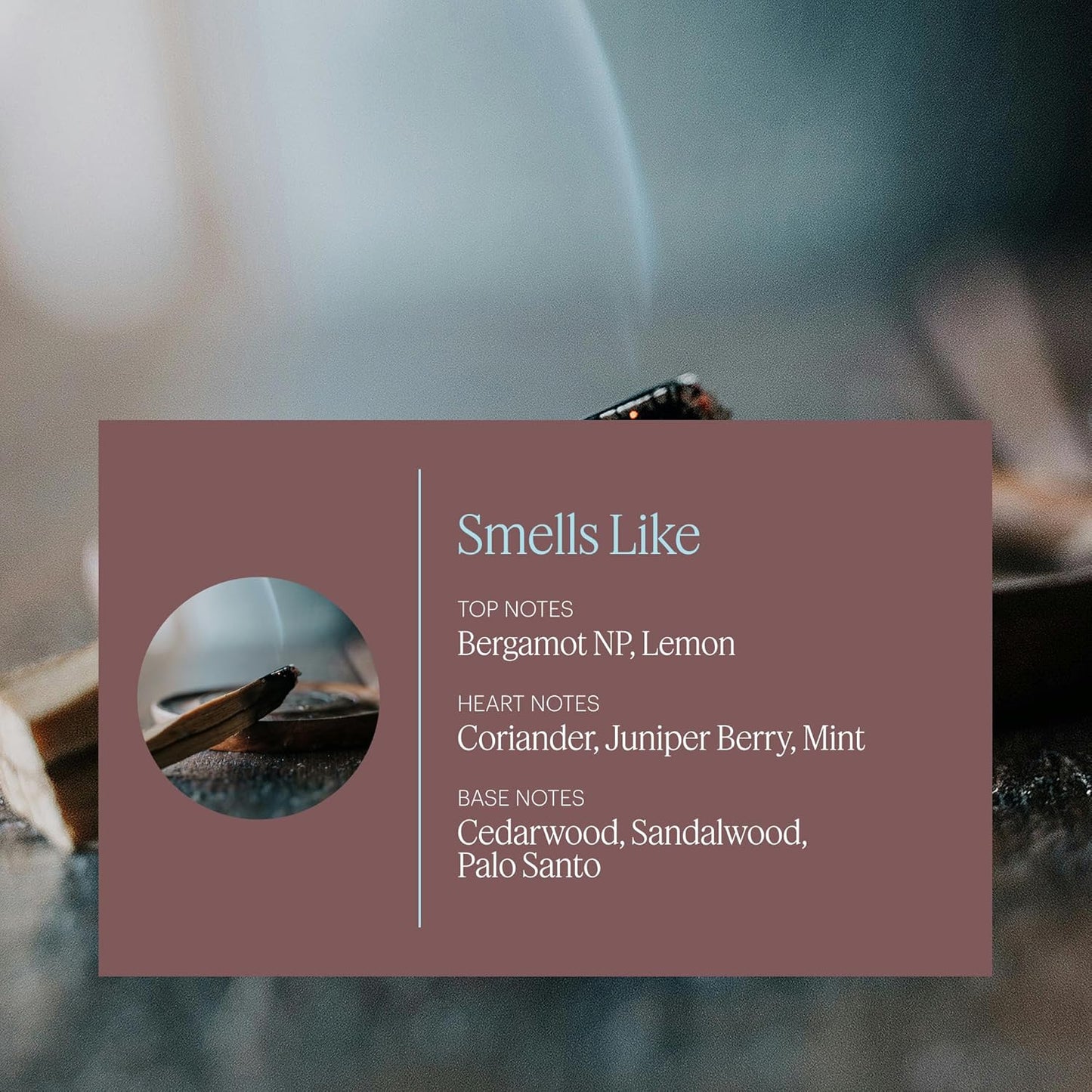 Aera Mini Palo Santo - Essential Oil for Home - Purifying and Cleansing Fragrance - Notes of Palo Santo, Juniper and Peru Balsam - Scent Refill - Capsule Size Works with Mini Diffuser