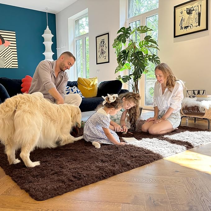 OLANLY 9x12 Machine Washable Large Area Rugs for Living Room, Bedroom, Soft Fluffy Shaggy Bedside Rug, Indoor Floor Carpet for Kids Girls and Boys, Dorms, Nursery, Home Decor Aesthetic, Coffee