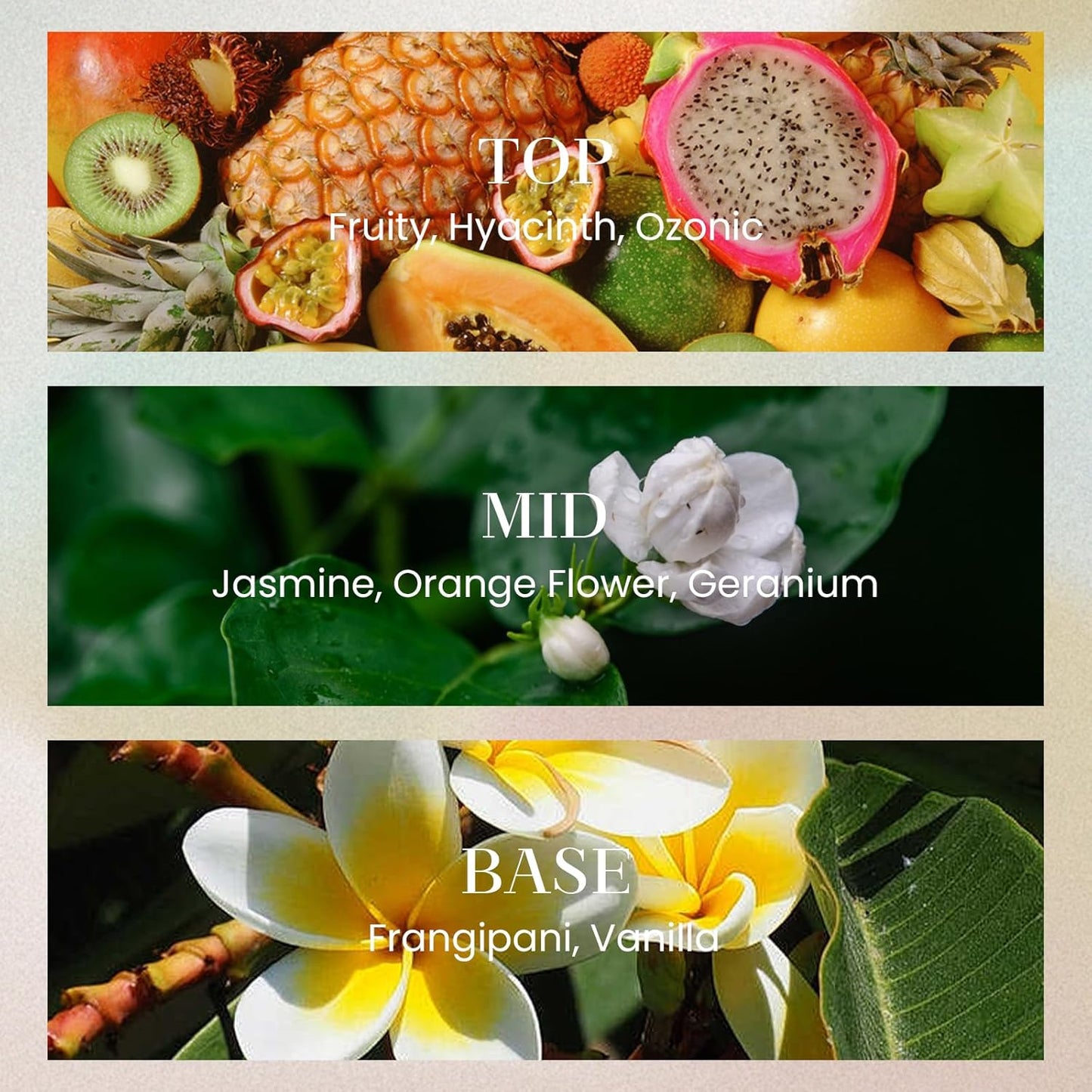 M&SENSE 10.14 oz Large Reed Diffuser Set | Jasmine Garland Scent Oil Diffuser with Sticks | Hotel Collection Non-Toxic Essential Oil |for Bedroom Bathroom Living Room