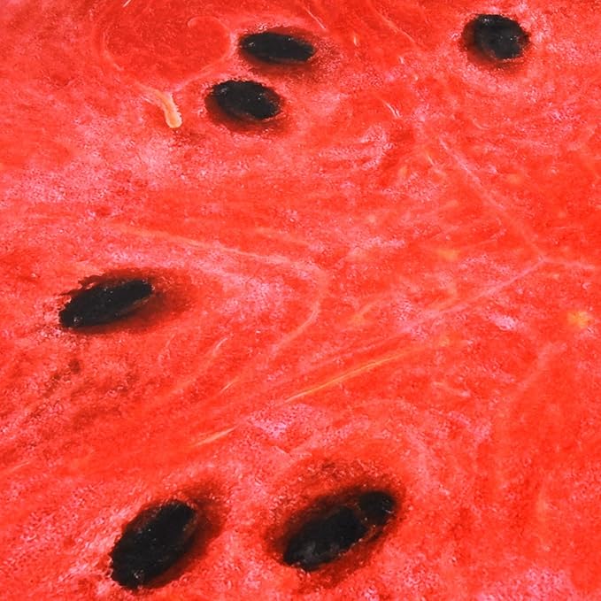 Vessia Watermelon Printed Throw Blanket, 60 inches Realistic Funny Round Food Blanket for Adults and Kids, 300GSM Novelty Fruits Throw for Couch, Sofa, Bed, Fun Home Decor for All Seasons