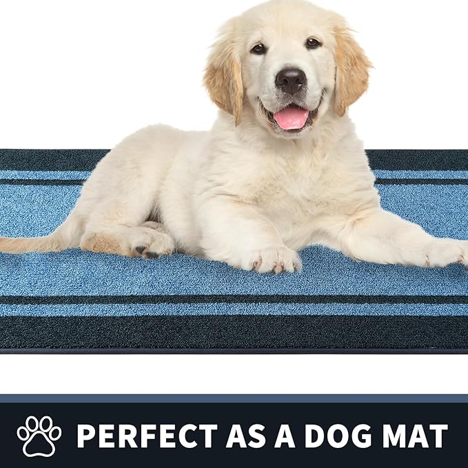 PURRUGS Dirt Trapping Door Mat 24" x 60", Non-Slip/Skid Machine Washable Entryway Rug, Shoes Scraper, Area Rug, Super Absorbent Welcome Mat for Muddy Wet Shoes and Paws, Light Blue & Navy