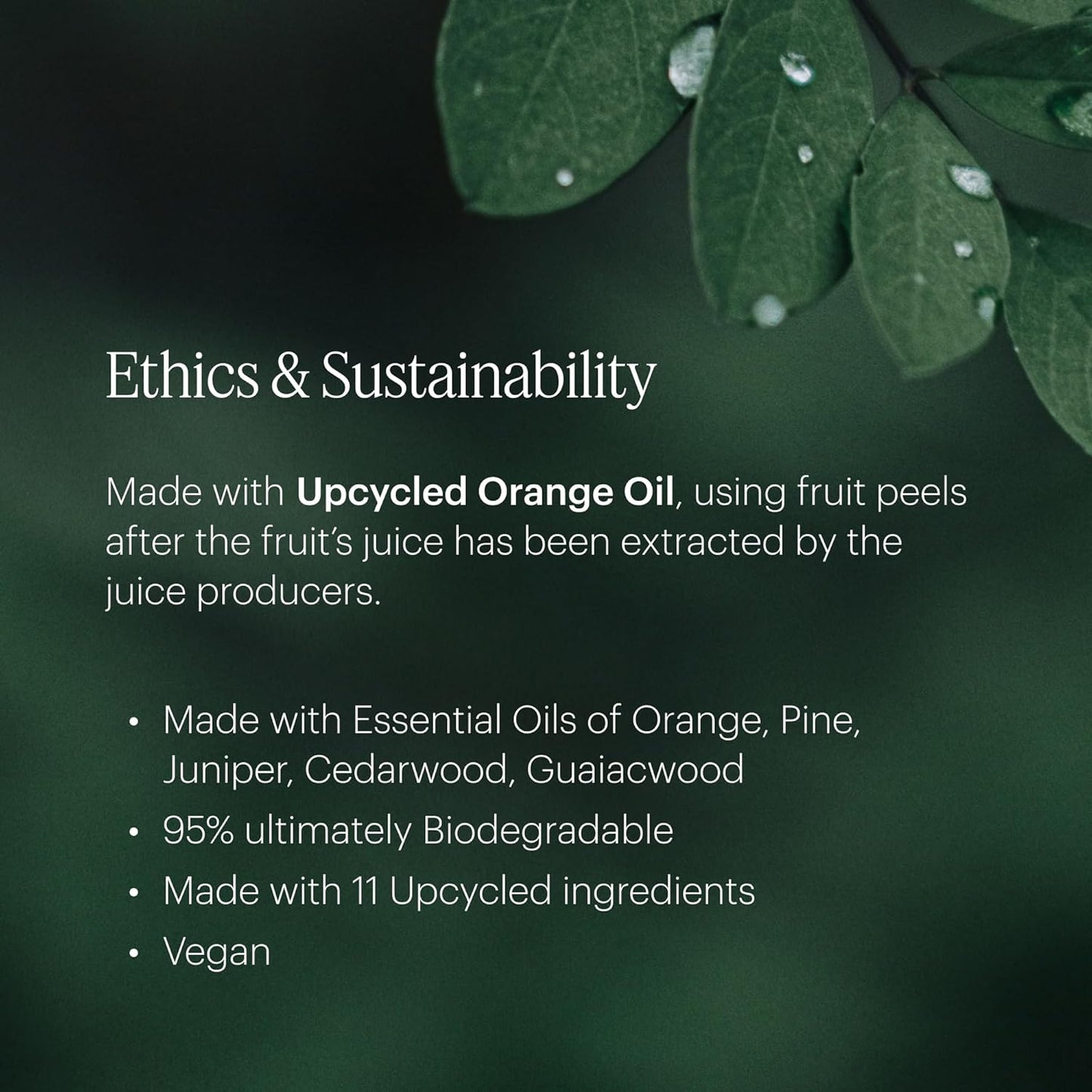 Aera Mini Linen Home Fragrance Scent Refill, Clean Formula with Notes of Bright Citruses, and Juniper Berries Frolic with Delicate Florals - Works with Aera Diffuser