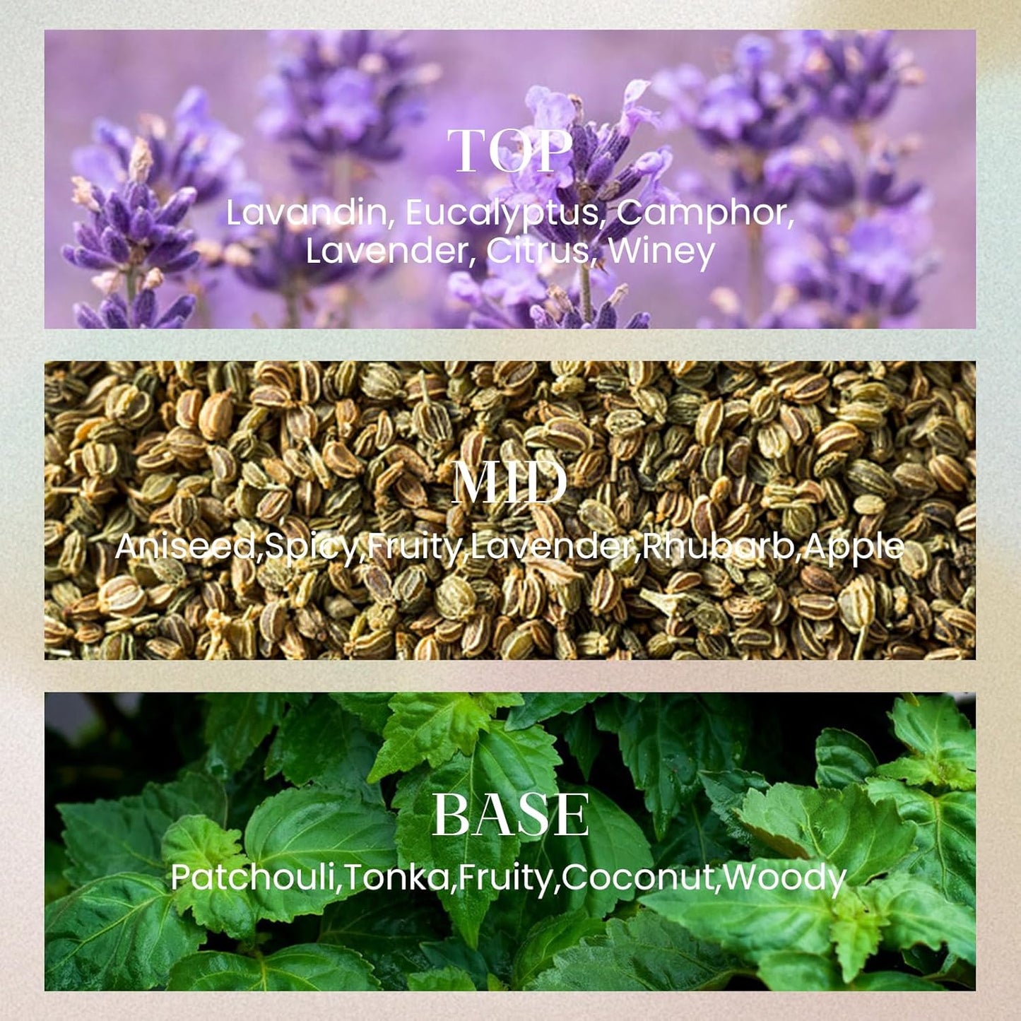 M&SENSE 6.3 oz Large Reed Diffuser Set | Lavender Eucalyptus Scent Oil Diffuser with Sticks | Hotel Collection Non-Toxic Essential Oil |for Bedroom Bathroom Living Room