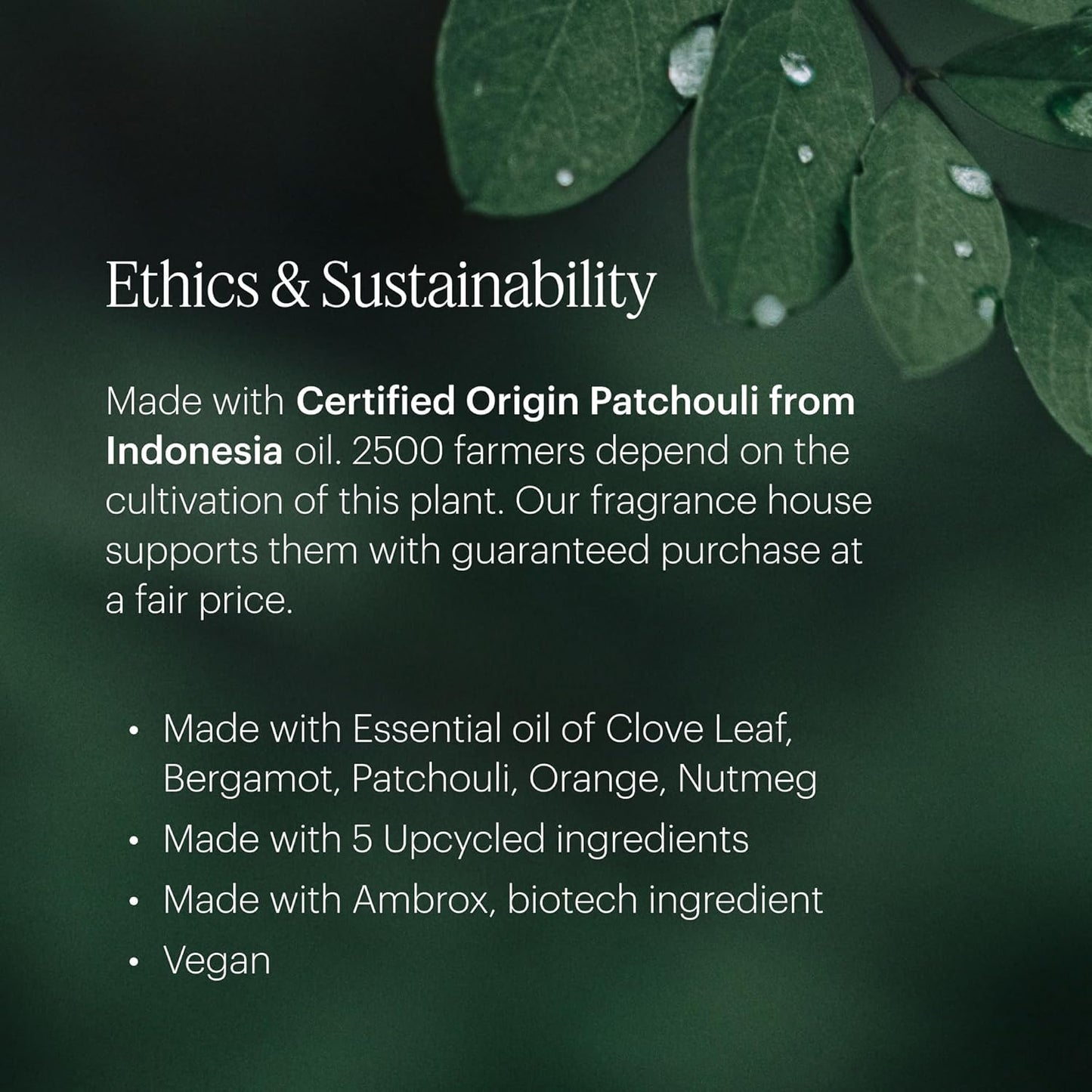 Aera Mini Moondance - Essential Oil for Home- Warm and Alluring Fragrance - Notes of Iris, Bergamot, Amber and Vanilla - Scent Refill - Capsule Size Works with Mini Diffuser