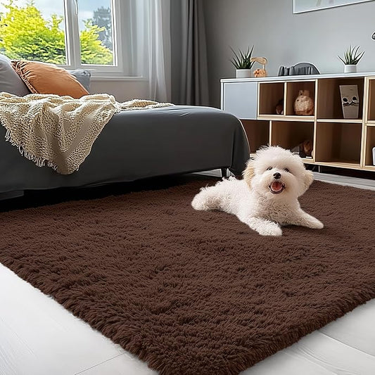 OLANLY 3x5 Machine Washable Small Bedside Rug, Soft Fluffy Shaggy Rugs for Living Room, Bedroom, Indoor Floor Carpet for Kids Girls and Boys, Preppy Dorms, Nursery, Home Decor Aesthetic, Coffee