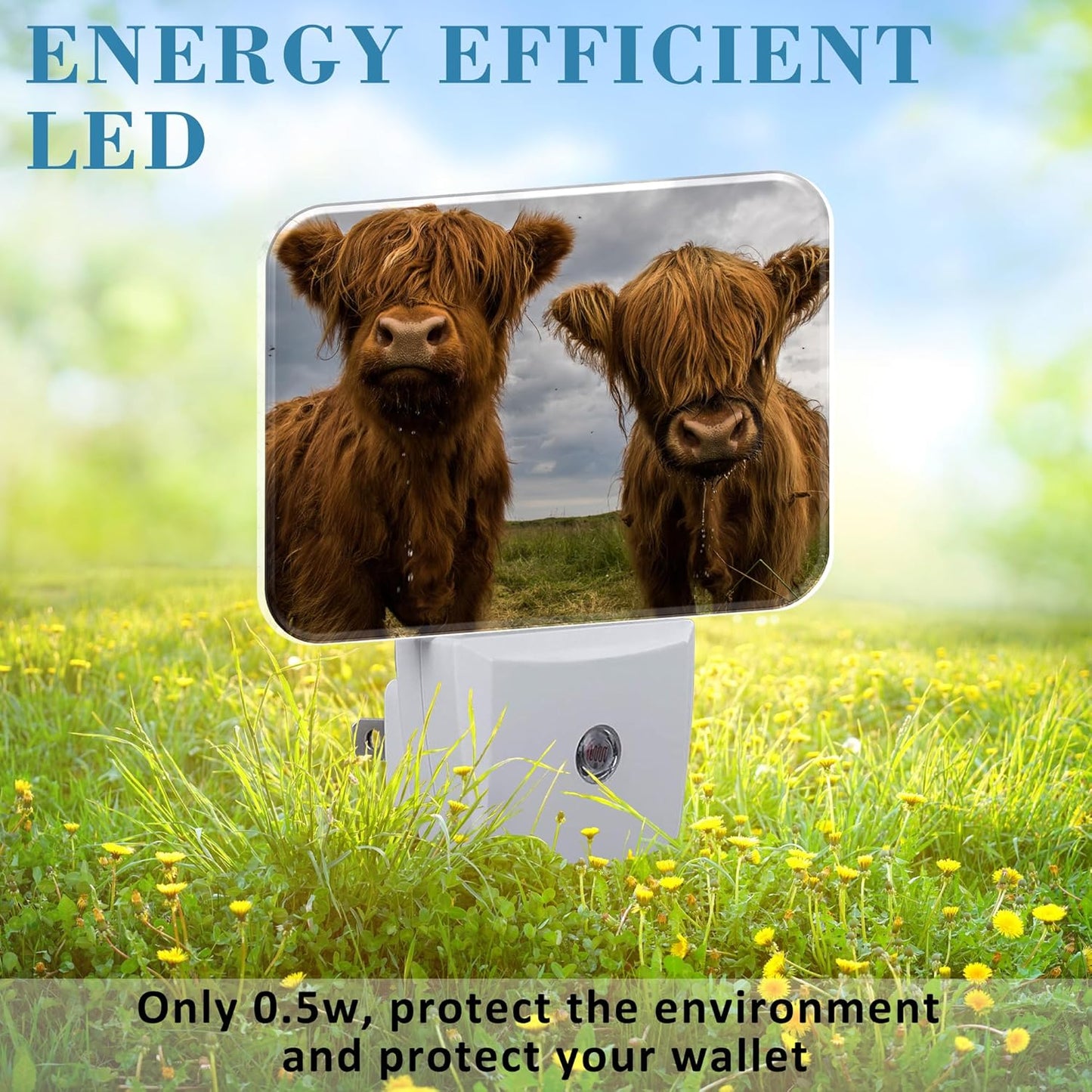Highland Cows Plug in Night Lights, Cute Highland Cows Nightlight Plug Into Wall Dusk to Dawn Sensor for Kid Girls Boys Women Men Bedroom, Hallway, Kitchen, Bathroom, Stairs Decor