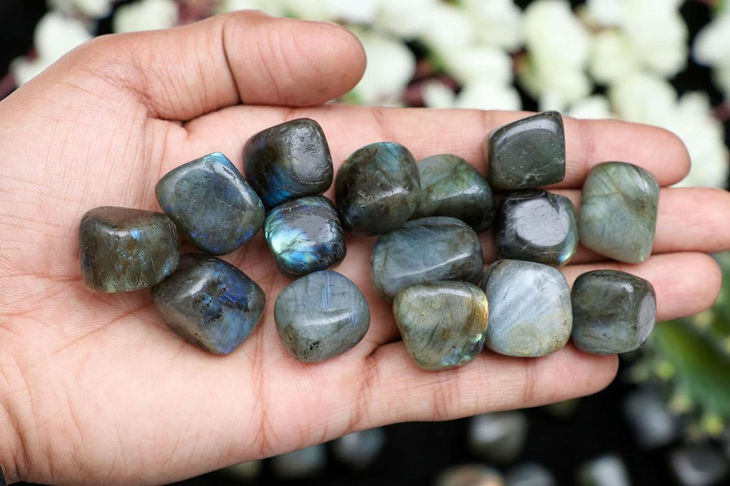 Crocon 1Lb Labradorite Tumbled Stones and Crystals Bulk Natural Crystal Kit for Reiki Healing Crystals Polished, Tumble Stones, Chakra Balancing, Good Luck, Reiki Gift, Home Decor Size : 20-25 mm