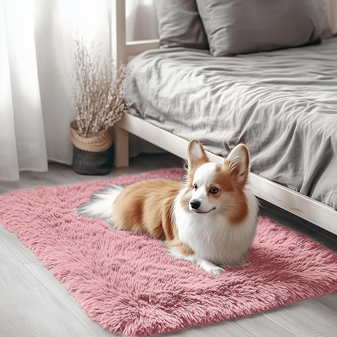 OLANLY 2x3 Machine Washable Small Bedside Rug, Soft Fluffy Shaggy Entryway Throw Rugs for Bedroom, Living Room, Indoor Floor Carpet for Kids Girls Boys, Nursery Rooms, Home Decor Aesthetic, Pale Pink