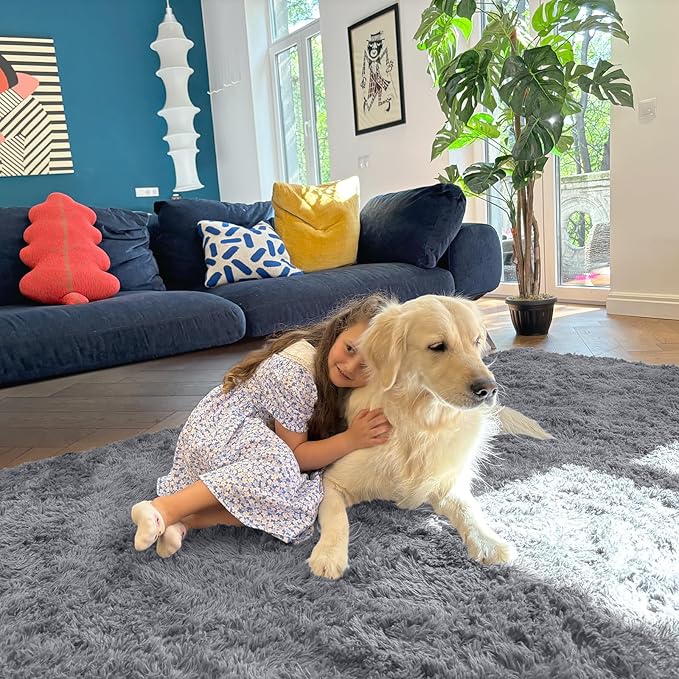 OLANLY Area Rugs for Living Room Bedroom, Machine Washable 4x5.9 ft Soft Fluffy Shaggy Bedside Rug, Indoor Floor Carpet for Kids Girls and Boys, Dorms, Nursery Rooms, Home Decor Aesthetic, Light Grey