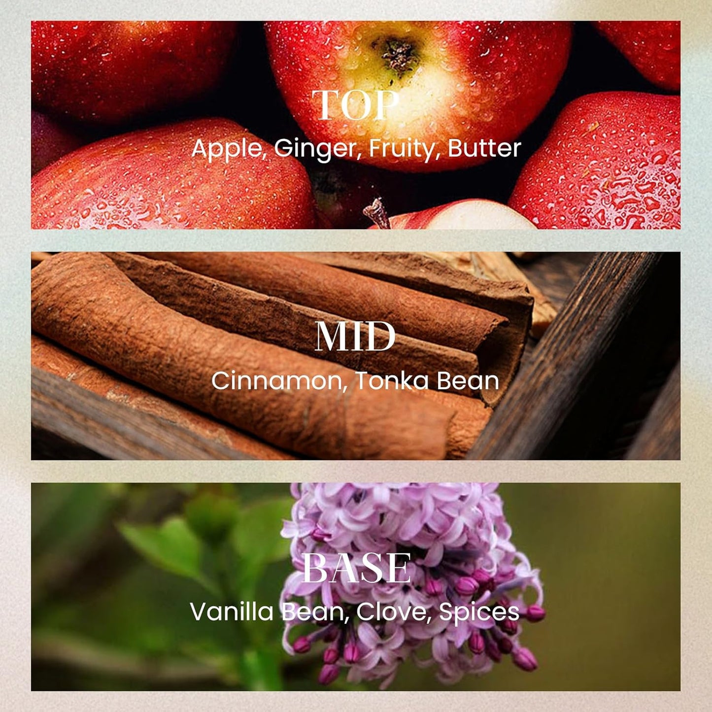 M&SENSE 6.3 oz Large Reed Diffuser Set | Cinnamon Vanilla Scent Oil Diffuser with Sticks | Hotel Collection Non-Toxic Essential Oil |for Bedroom Bathroom Living Room