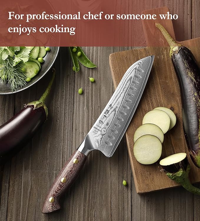 HEZHEN Santoku Knife with Wooden Sheath,7.3 Inches, 67 Layers Damascus Steel Kitchen Knife for Professional Chefs and Family, Micarta Handle,Gift Ready
