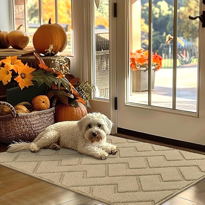hicorfe Indoor Door Mat,Non Slip Door Mats,32"x48" Front Back Door Mat Rubber Backing,Absorbent Resist Dirt Entrance Inside Floor Mats for Entryway Washable Low-Profile(Beige)