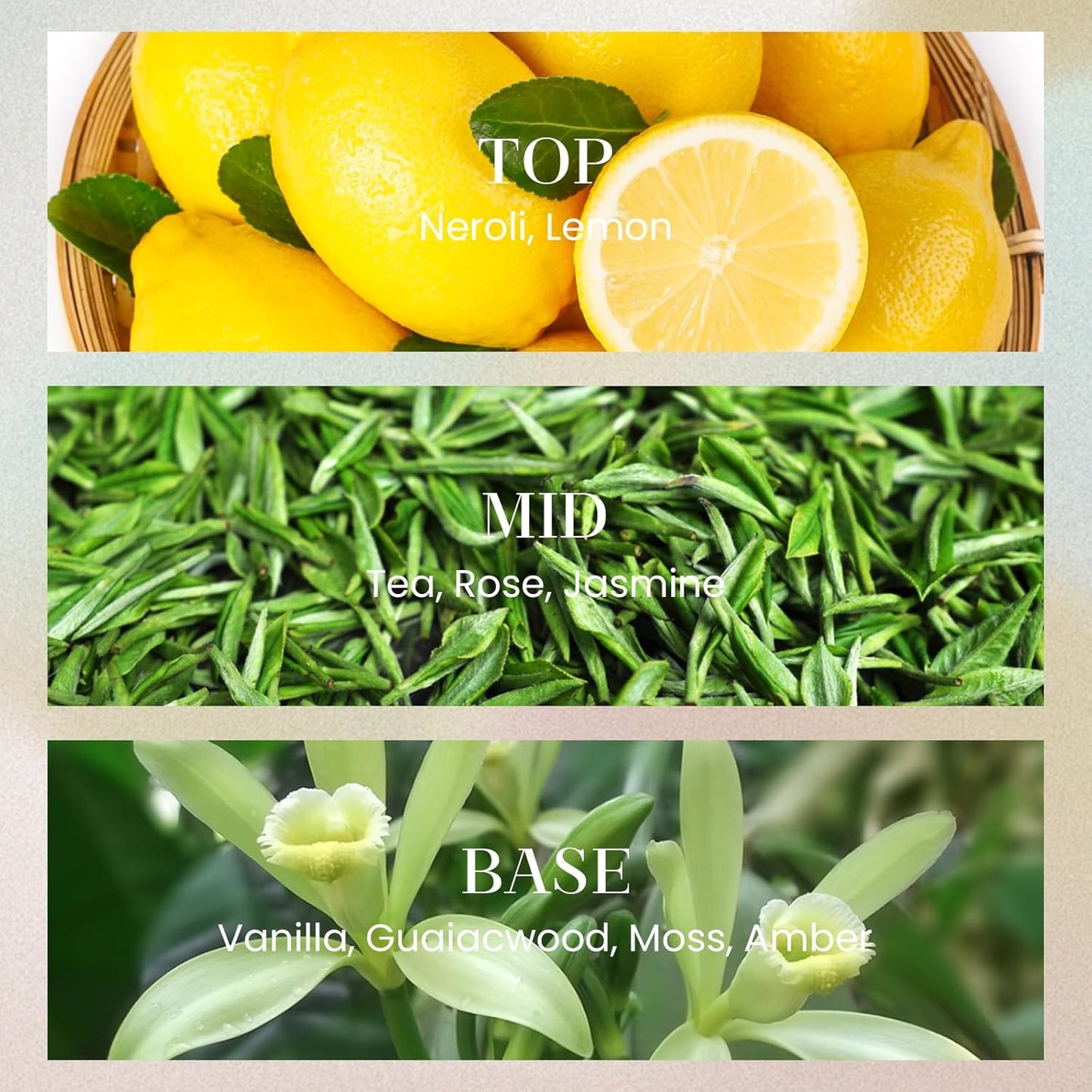 M&SENSE 10.14 oz Large Reed Diffuser Set | Neroli Noir Scent Oil Diffuser with Sticks |Hotel Collection Non-Toxic Essential Oil |for Bedroom Bathroom Living Room