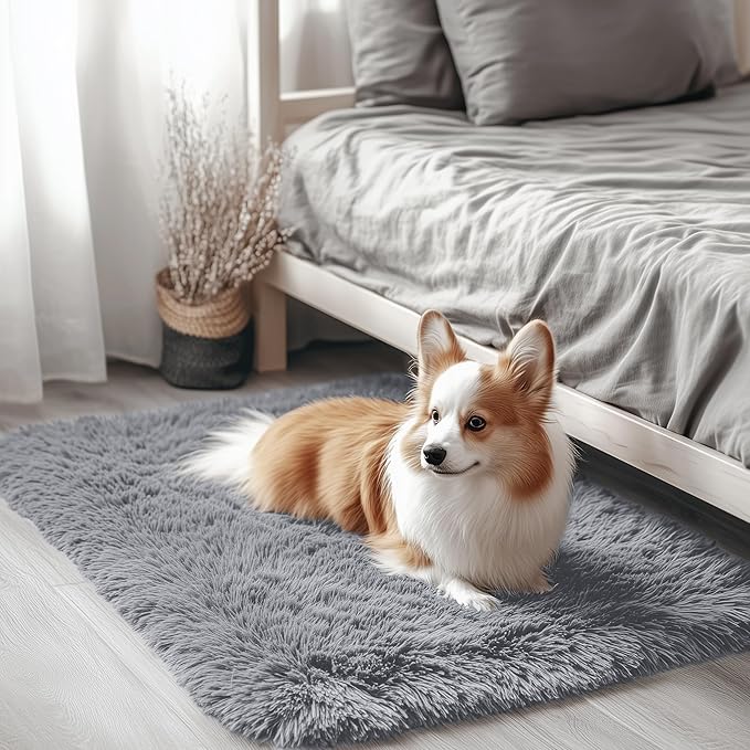 OLANLY 2x3 Machine Washable Small Bedside Rug, Soft Fluffy Shaggy Entryway Throw Rugs for Bedroom, Living Room, Indoor Floor Carpet for Kids Girls Boy, Nursery Rooms, Home Decor Aesthetic, Light Grey