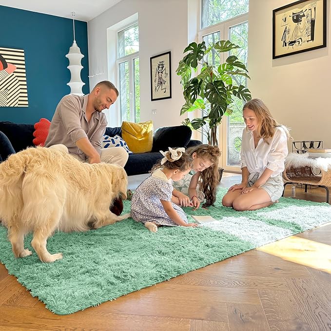 OLANLY Area Rugs for Living Room Bedroom, Machine Washable 4x5.9 ft Soft Fluffy Shaggy Bedside Rug, Indoor Floor Carpet for Kids Girls and Boys, Dorms, Nursery Rooms, Home Decor Aesthetic, Mint Green