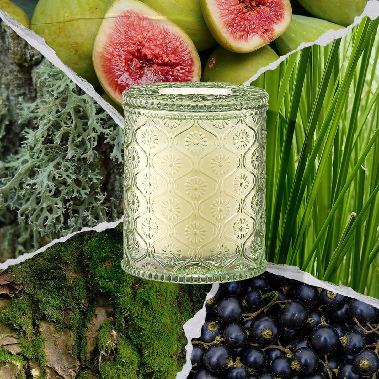 LA JOLIE MUSE Kyoto Vine & Moss Candle - Green Leaves, Tree Moss, Vetiver | 6 oz Natural Soy Wax | 40 Hours Clean Burn | Fresh Scented Candle | Gift-Ready for Hosts & Gatherings