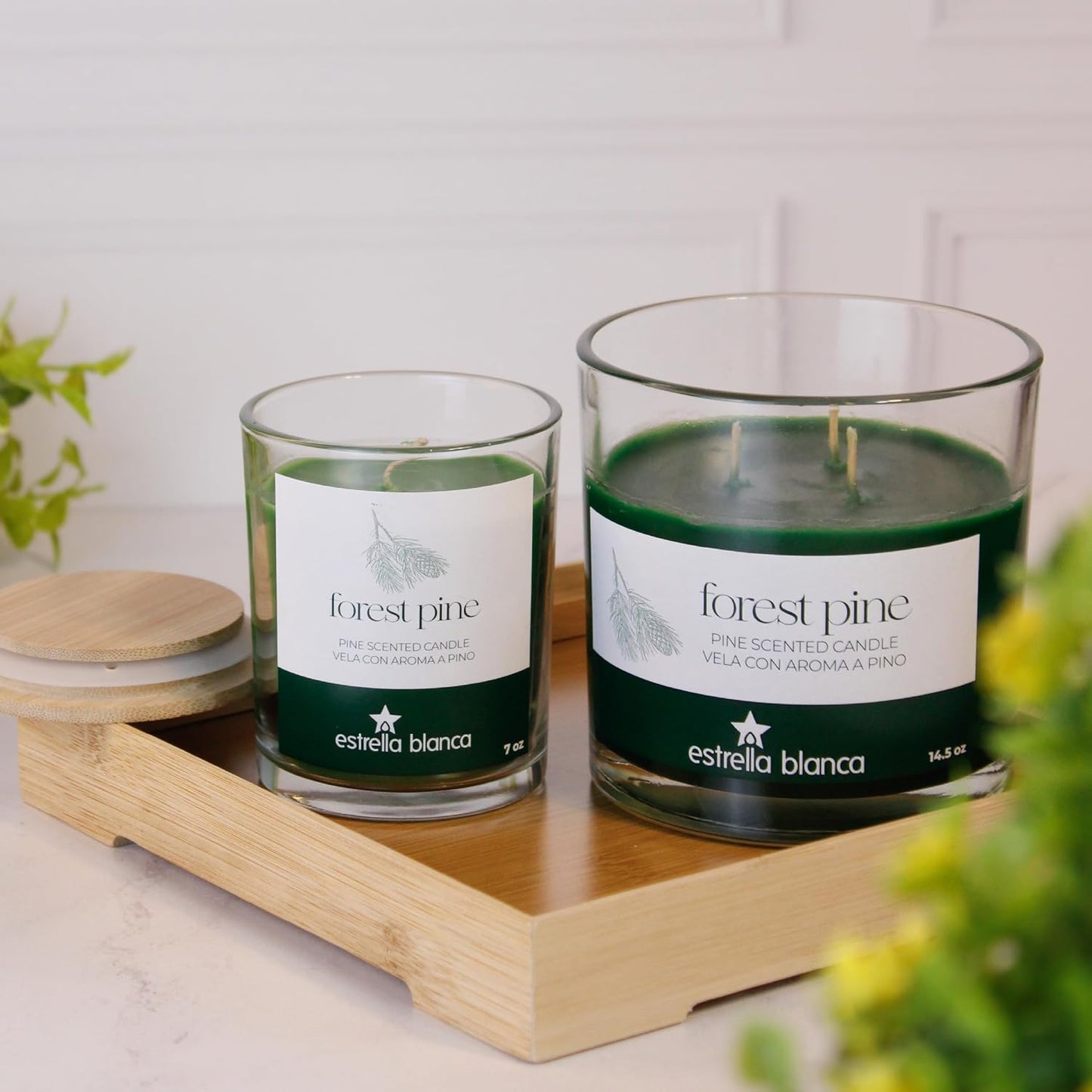 Forest Pine Candle – 14.5oz Soy Wax Scented Jar Candle with Long-Lasting Burn, Fresh Woodsy Aroma for Home, Office & Everyday Relaxation