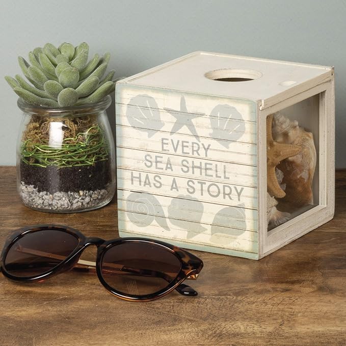 Primitives by Kathy Seashell Holder - Coastal Decor, Glass Display, Treasure Chest, Room and Bedroom Decor