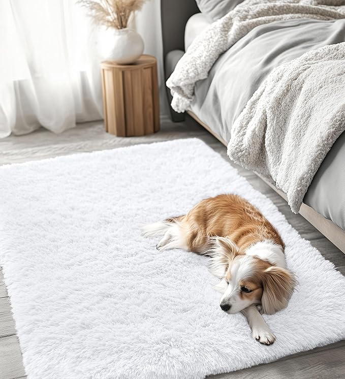 OLANLY 3x5 Machine Washable Small Bedside Rug, Soft Fluffy Shaggy Rugs for Living Room, Bedroom, Indoor Floor Carpet for Kids Girls and Boys, Preppy Dorms, Nursery, Home Decor Aesthetic, White