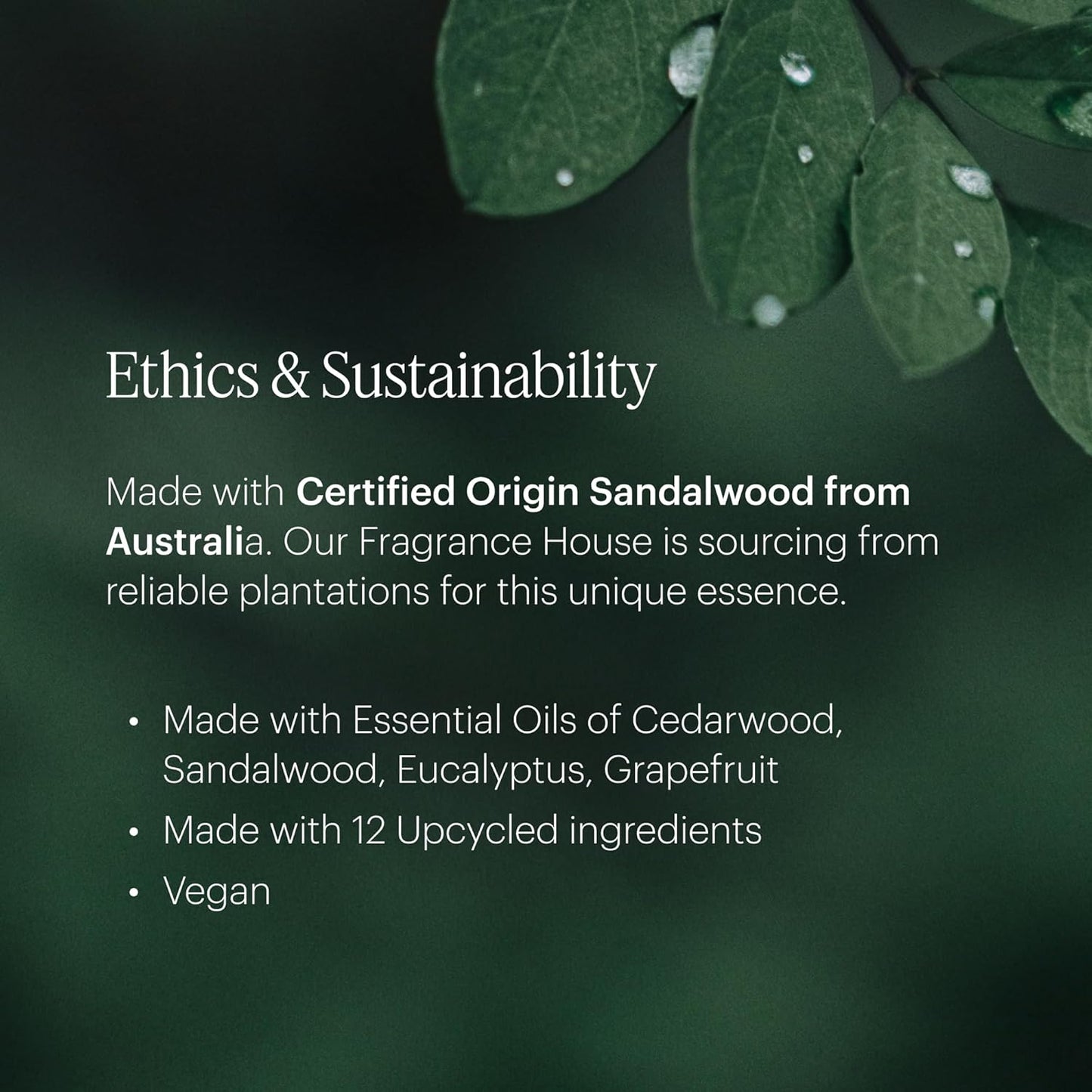 Aera Mini Palo Santo - Essential Oil for Home - Purifying and Cleansing Fragrance - Notes of Palo Santo, Juniper and Peru Balsam - Scent Refill - Capsule Size Works with Mini Diffuser