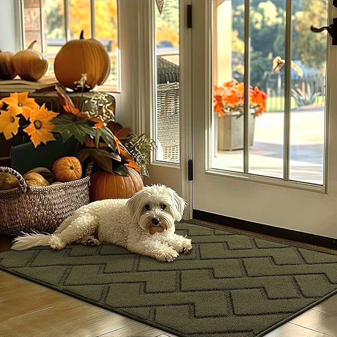hicorfe Indoor Door Mat,Non Slip Door Mats,32"x48" Front Back Door Mat Rubber Backing,Absorbent Resist Dirt Entrance Inside Floor Mats for Entryway Washable Low-Profile(Oliver Green)