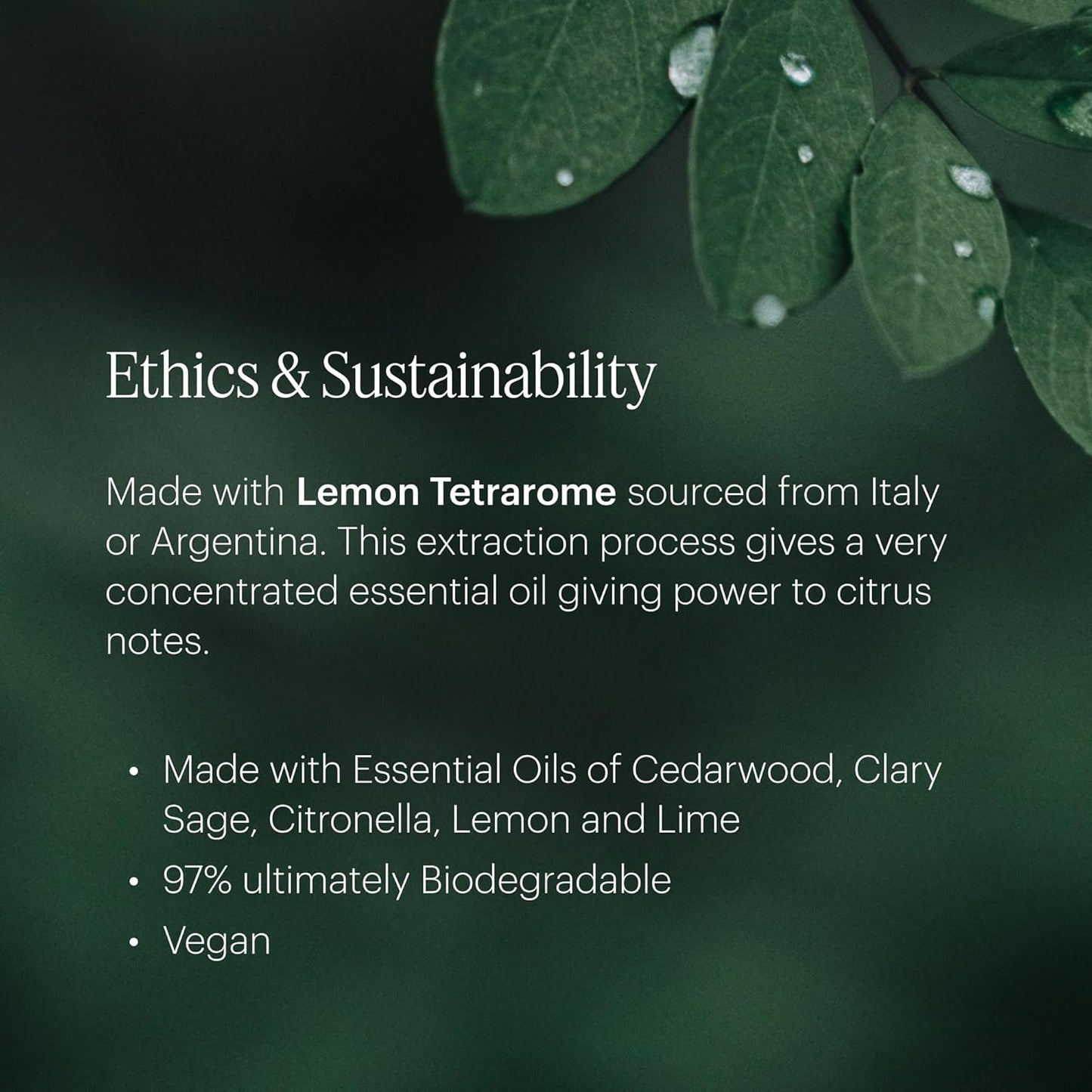 Aera Mini Citrus - Essential Oil for Home - Lemon Zest Fragrance - Notes of Lemon, Orange, Clary Sage and Cedar - Scent Refill - Capsule Size Works with Mini Diffuser