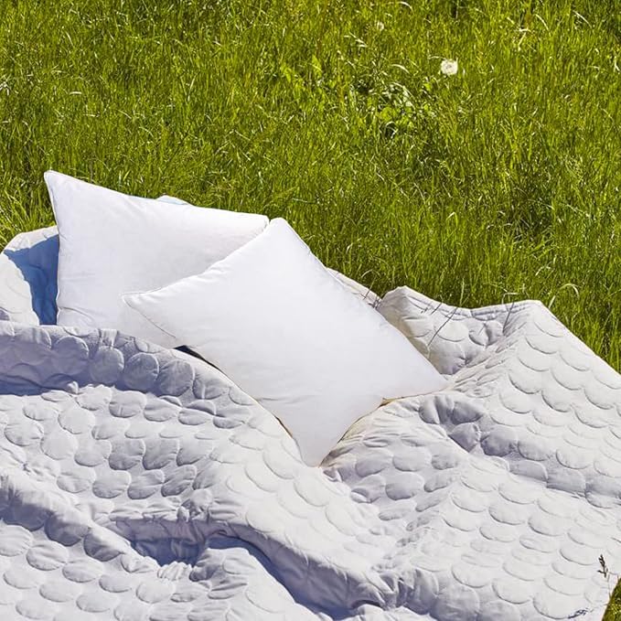 22"x22" Pillow Inserts Soft Feather Pillow Set of 2 Indoor Decorative Sofa Down Pillows Bed Pillows Couch Pillow