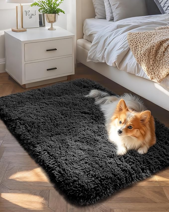Ophanie Small Black Entryway Throw Rugs for Bedroom, 2x3 Mini Area Rug, Affordable Non Slip Fluffy Carpet, Fuzzy Soft Living Room Rugs, Home Decor Aesthetic, Nursery